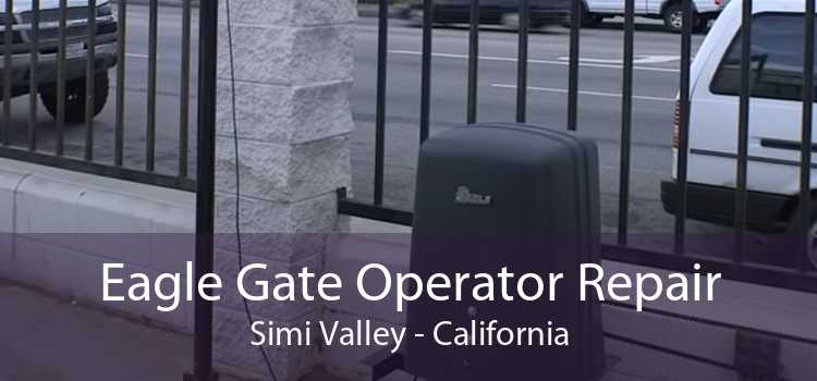Eagle Gate Operator Repair Simi Valley - California